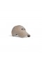 Deportes Icono de Bucle de Carga de la Pac en Beige Oscuro/negro
